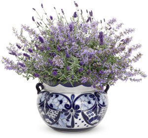 Catmint and lavender