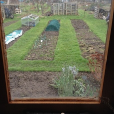 Window view of English shed
