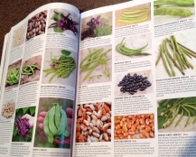 Pages showing beans