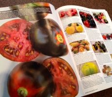 Pages showing tomatoes
