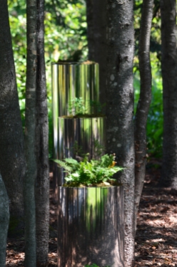 Cylindrical reflective containers filled with forest plants in a grove.
