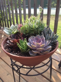 A conical container is filled with succulents of varying textures.