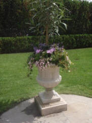 A stone container is planted with trailing flowers and a very tall standard.