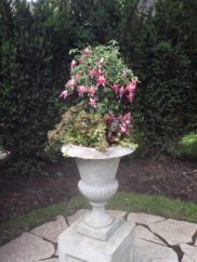 A classic urn container holds a fuchsia standard.