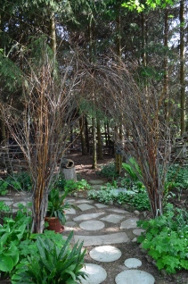 A willow archway leads into a hideaway within a conifer grove.