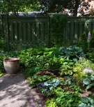 An angular path leads past beds of hostas surrounded by a fence