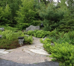 A slate and gravel pathway through a woodland garden on the coast of Maine