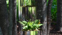 A small specimen fern in a silver container in a woodland setting.