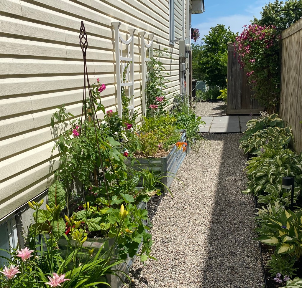 A side garden with beds