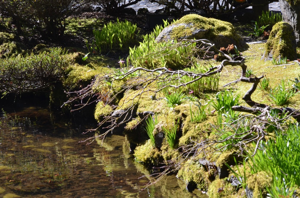 The mossy edge of a Japanese-themed pond