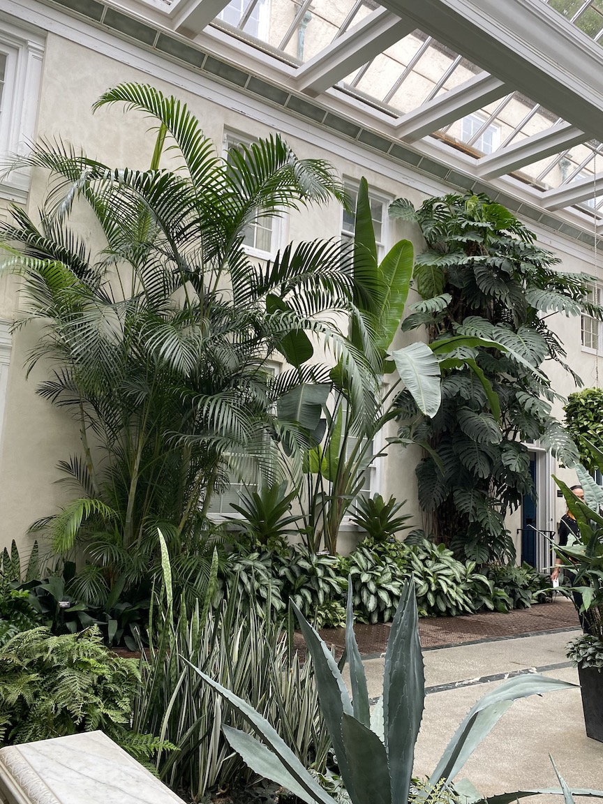 Tropical plants in Atrium of Peirce-du Pont House