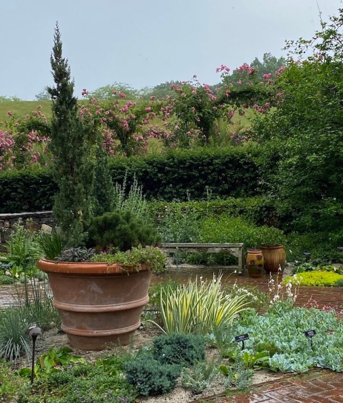 A portion of the dry garden