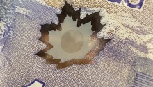 Maple leaf on Canada $10 bill