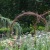 Arches and cutting garden