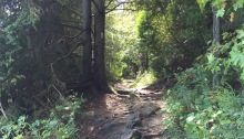Bruce Peninsula trail
